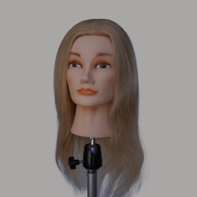 China 165g 613 Blond Echt menselijk haar Mannequin Training Head betaalbare verzendkosten en tijd Te koop