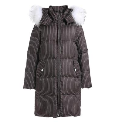 China Winter Windproof Women Down Coat Raccoon Fur Fashion Striped Collar Hooded Down Jacket for sale