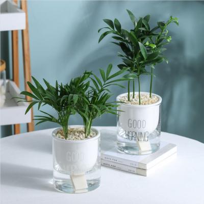 China Modern Nordic Style Home Decor Self Watering White Ceramic Vases Set With Glass Base for sale