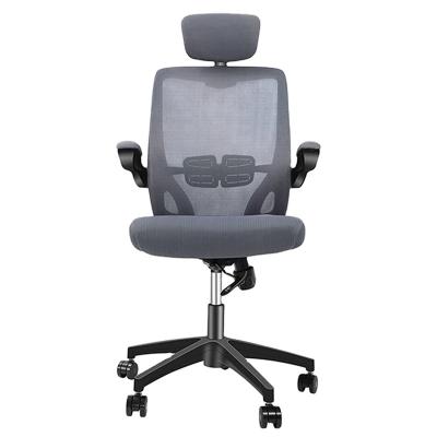 China (Size) Adjustable Mesh Support Ergonomic Office Chair Office Mesh Chair With Adjustable Lumbar from Foshan Office Furniture Factory Supplier for sale