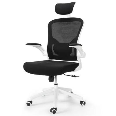 China (Height)Adjustable Office Chair Mesh Chair With Adjustable Lumbar Ergonomic Support for sale