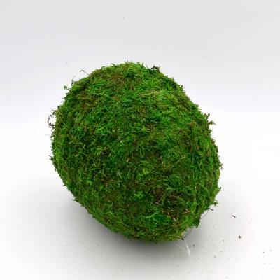 China Cheap Art Decor Moss Garden Decorations Moss Crafts Around Egg Shape Decor for sale