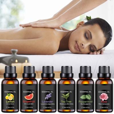 China Skin Revitalizer Private Label In Stock Pure Oil Gift Set Lavender Peppermint Eucaluptus Green Tea Tree Aromatherapy Body Skin Care Oil for sale