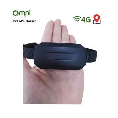 China Hot Selling Pet Security Mini GPS Pet Tracker Waterproof Smart Cat Dog Smart Pet Collar With Gps Track Playback Function for sale