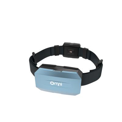 China Full Time Pet Safety Pet Bodyguard GPS Tracking Locator Device 4G Positioning Pet Collar GPS Waterproof Environmental Material IP67 for sale