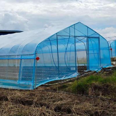 China Easily Assembled Stable Structure Grow Greenhouses Manufacturer Low Tunnel Greenhouse for sale