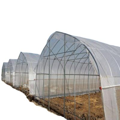 China Stable Structure Easily Assembled Tunnel Greenhouse For Sale With Grow Lights / Rolling Tables for sale