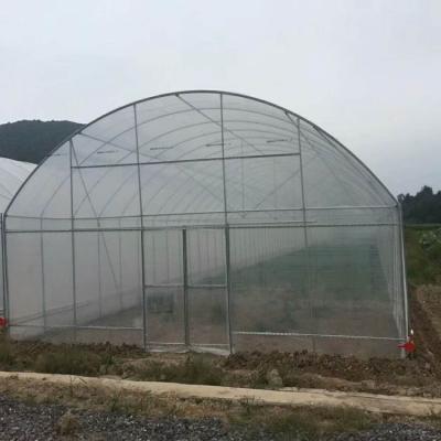 China China Agricultural Plastic Sheet Aluminum Greenhouse for sale