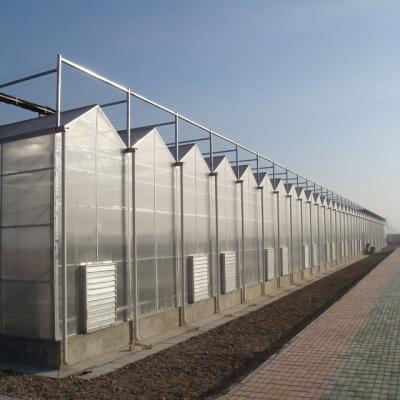 China Stable Structure Automatic Climate Control Polycarbonate PC Greenhouse for sale