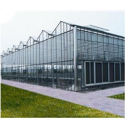 China PC Covered Shed PC High Quality Commercial Solar Greenhouse for sale