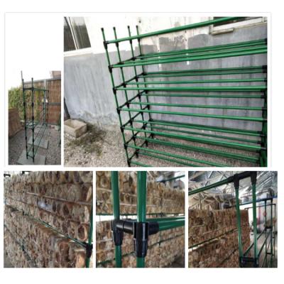 China Mushroom Mushroom shelf/pleurotus geesteranus growing rack/black fungus frame for greenhouse structure for sale