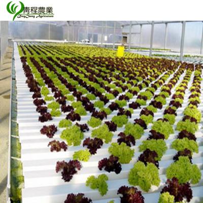 China Farms NFT Hydroponic System, NFT System Hydroponics Water Saving Irrigation System Agricultural Hydroponics Vertical Gutter No White for sale