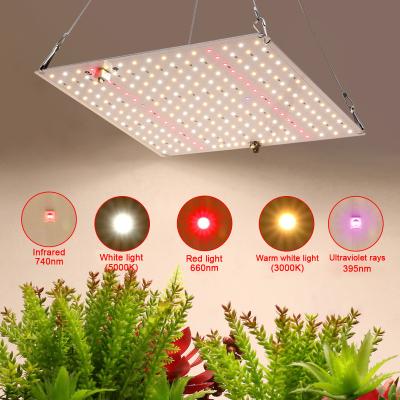 China Seed starting 50 watt lm301h Redfarm UVA diode 36W T8 tube spectrum blue UFO led to grow light for indoor plant for sale