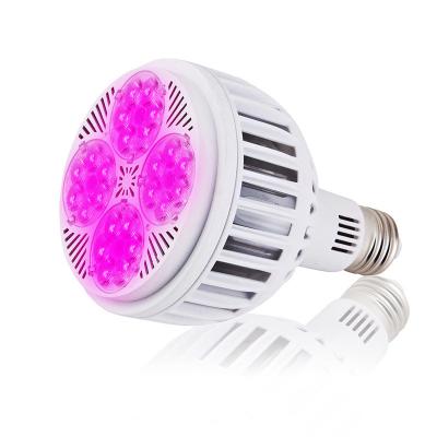 China Seed Starting 2021 Commercial Wholesale 600w 1000w Best Hydroponic Garden Custom Full Spectrum Led Indoor Plants Grow Light for sale