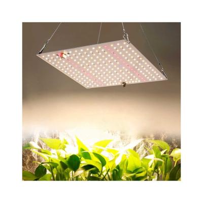 China Seed Seed Growing Led Plant Full Plug Regular Spectrum Grow Light Indoor Plants Waterproof Led Grow Light Bar for sale