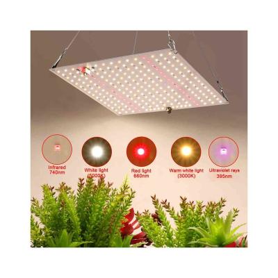 China Seed Starting Top Quality Dimmable Widely Used Full Spectrum Led To Grow Light For Indoor Plant for sale