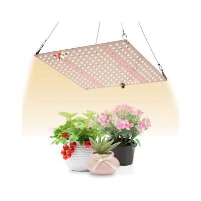 China Seed Starting New Type Low Price Aluminum Grow Light Plant Led 300w Led Growing Lightc for sale