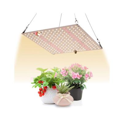 China Seed Starting Plug Aluminum Steady Hydroponic Led Grow Light Indoor Plant Led Grow Light for sale