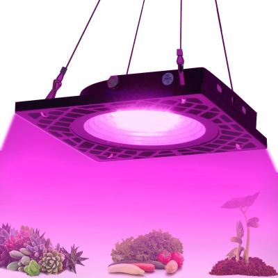 China New Use 100LM/W 2021 Factory Wholesale Forindoor UV Full Spectrum Power Grow Light for sale