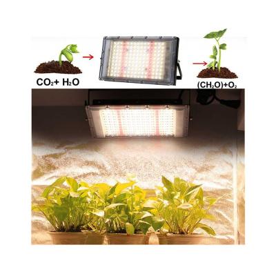 China Seed starting sell well new type european plug 300w aluminum grow lights led factory grow light for sale