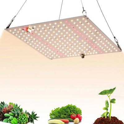 China Seed Seed Growing Lamp 650W Indoor Plant Used Best Selling UV Full Spectrum COB IR Led Grow Light for sale