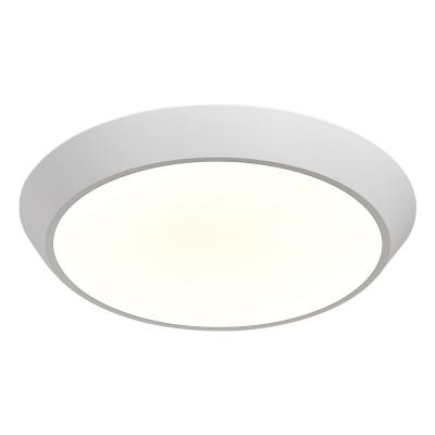 China 2022 Other Simple Style Ceiling Lamps Modern Bedroom LED Ceiling Lights for sale