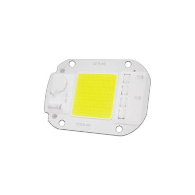 China Floodlights/grow light/foold light F6040 led led module DOB Chip 20W 30W 50W smart ic chip flood light chip 20W 30W 50W led lamp cob for led ac cob street lamp module for sale