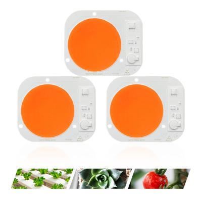 China LED Light Full Spectrum LED COB Chip For Greenhouse Hydroponic Led AC 220V 50W No Driver LED Grow Light COB Module for sale