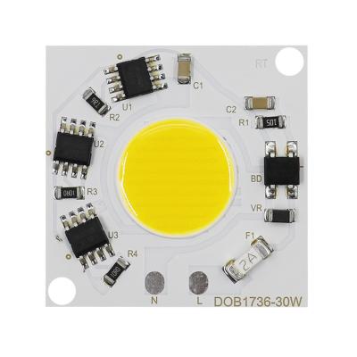 China Led Flood Light / Flood Light Newspectrum LED White Warm White Module With Onboard AC 220V COB LED Module 50W Driver Led Spot Light Chip Panel for sale