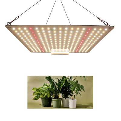 China Seed Starting Veg Cover 3x3ft 100W LED Grow Light Full Spectrum For Tent Plant Grow Indoor Greenhouse Cultivating IR UV Grow Light for sale