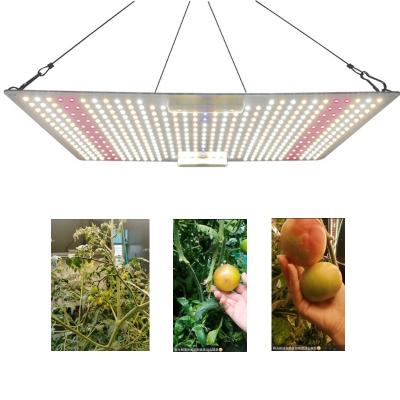 China Seed Starting Newspectrum 220V 150W Samsung Mixed IR UV Grow Light LED Grow Light PCB Board Lights Kit for Medicinal Plant Growth for sale