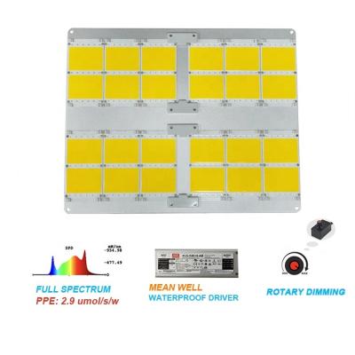 China Seed Starting Full Spectrum COB Panel Grow Light Driver 480W 240W 120W Meanwell LED Grow Light For Indoor Plants Hydroponics Greenhouse for sale