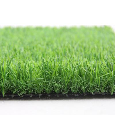 China Dog Grass Kit Indoor Mini Fish Tank Landscaping Artificial Plastic Grass AVG-010 for sale