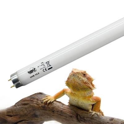 China 24 Inch G13 18w 20w UVB 15.0 T8 Fluorescent Tube Sustainable Lights For Live Reptiles Cage Display for sale