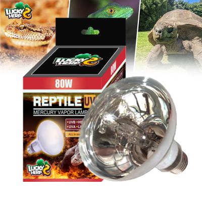 China Sustainable professional manufacturer uvb led bulb mercury vapor bulb uvb lamp for sale