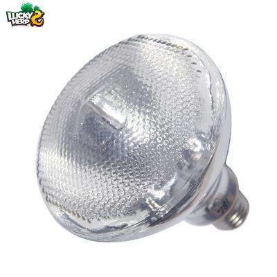 China New Design UVB Lamp Reptile Viable Cozy Reptile Bulb Turtle HERP LUCKY UVB Lamp for sale