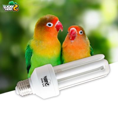 China Viable Competitive Price 20W 2.4 UVB Bird Lamp Colorful Customized Fluorescent Light for sale