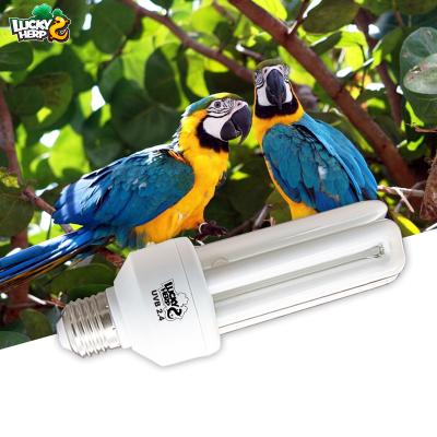 China Customized Viable Professional 20W 2.4 UVB Bird Lamp Fluorescent Light Good Price for sale