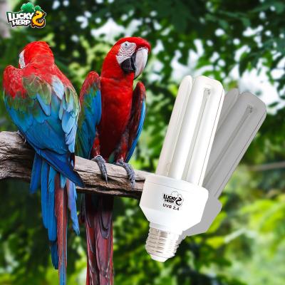 China Viable Factory Wholesale Manufacturer UVB Bird Lamp for sale