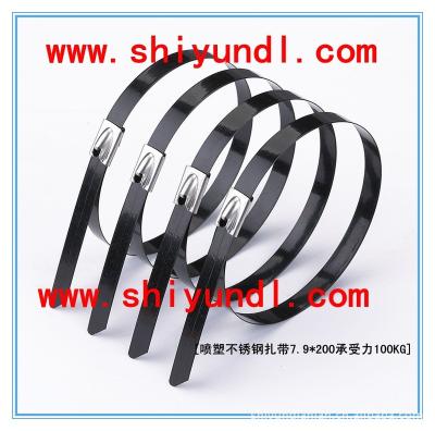 China China Steel 316 Eva Epoxy Coated Stainless Steel Cable Ties for sale