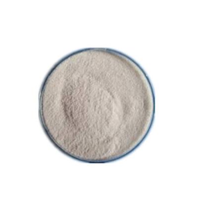 China Cas 13718-94-0 Nature Additives Isomaltulose Powder for sale