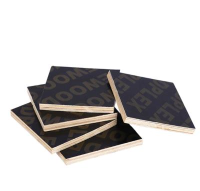 China 11 Ply Waterproof High Quality Panels Building Concrete Eucalyptus Black Concrete Plywood for sale