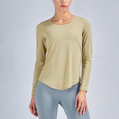 China New Arrival Breathable Women Long Sleeve Gym Crop Top Sports Training Workout Fitness Activewear Yoga Crop Top for sale