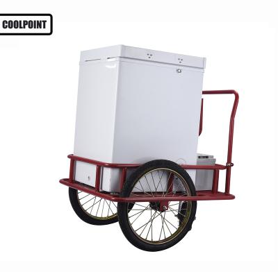 China Cargo 108 Liter Hand Push Cart With Popsicle Freezer for sale