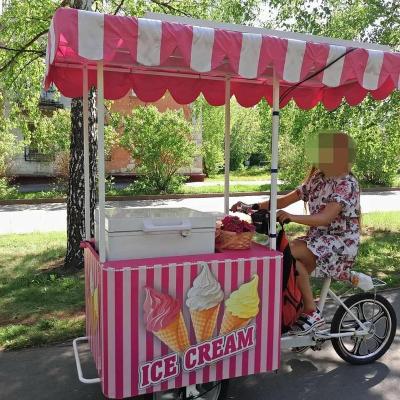 China 2019 Heavy Duty New Design Ice Cream Tricycle With Battery Operated Freezer for sale