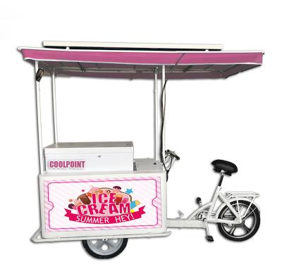 China COMPRESSOR DC 208L solar freezer refrigerator with ice cream tricycle for vending cart for sale