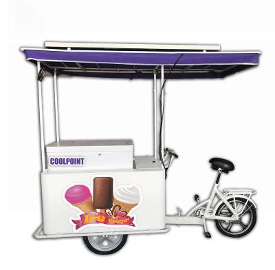 China Hot Selling Cargo Ice Cream Tricycle With BD/Because-208Lsolar Freezer Ice Cream Bikes for sale