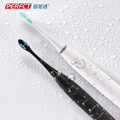 China USB Charging Rechargeable Toothbrush Heads Perfct Electric Toothbrush Adult Sonic Electric Toothbrush for sale