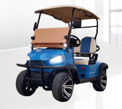 China Hot sale high quality golf place golf car 2 seater luxury multi-function golf buggy electric golf buggy on sale for sale