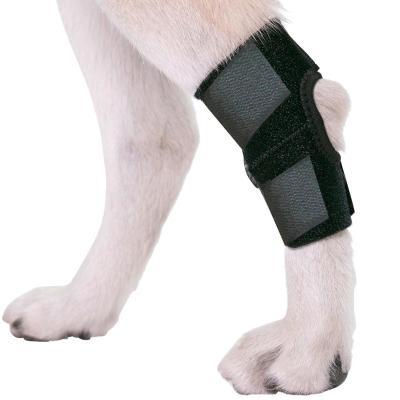 China Polyester & ZRWK03 Cotton Dog Leg Brace Compression Knee Brace For Dog For Hind Leg Protect From Injury for sale